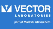 vector
